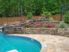 Pool and Landscaping Pool with Landscape